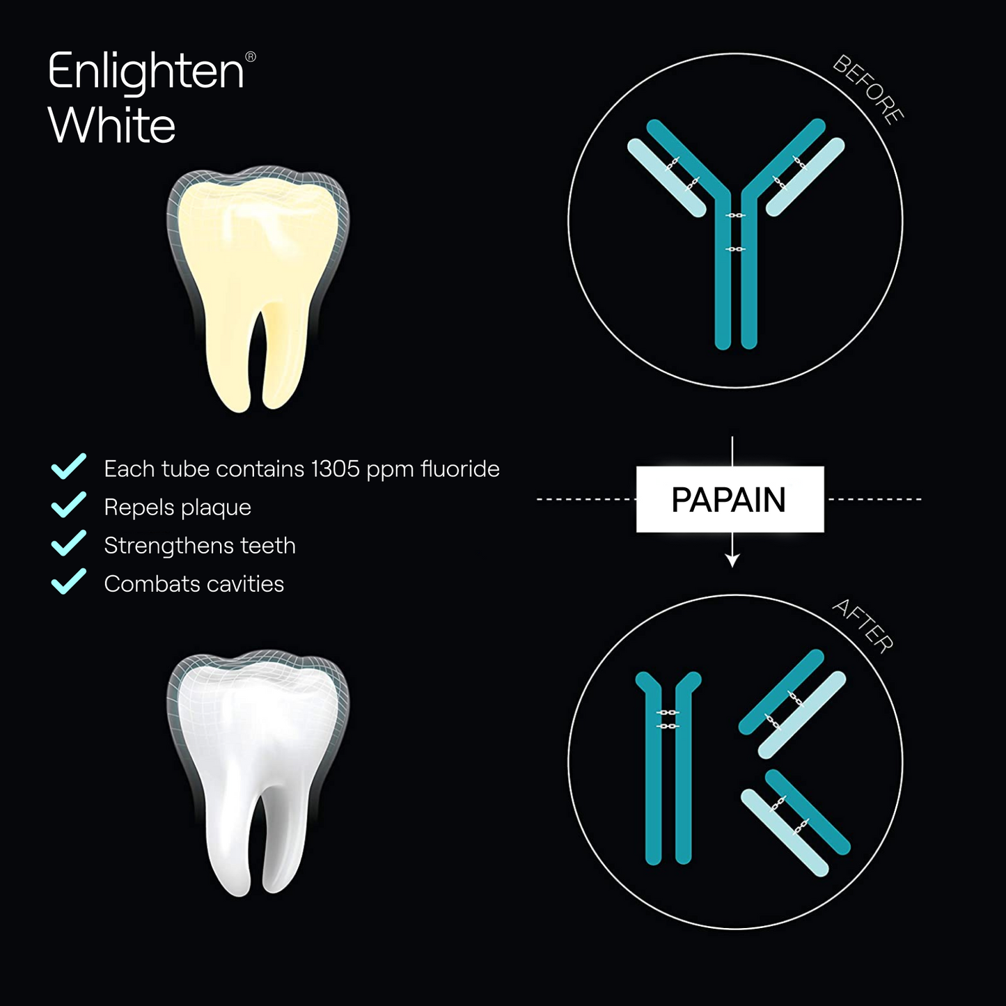 Illustration showing the benefits of what Enlighten White toothpaste does to teeth